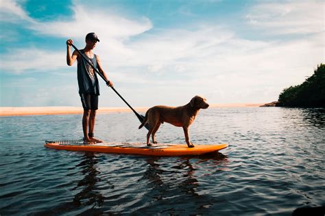 Best Paddle Board for a Fun and Exciting Experience in 2025