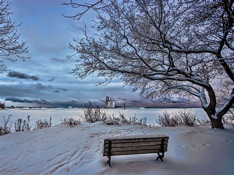 L'hiver, la saison où la nature se repose