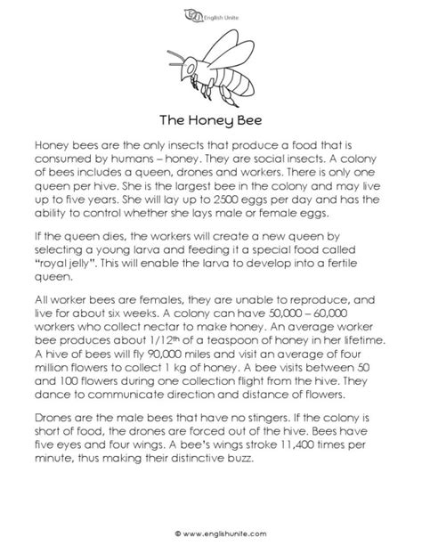 Write short and long stories by Mohamedkhali804 | Fiverr