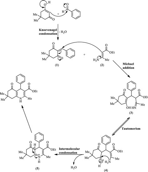 The mechanism proposed for synthesis of hexahydroquinolines. The figure ...