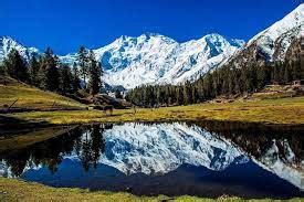 Fairy Meadows
