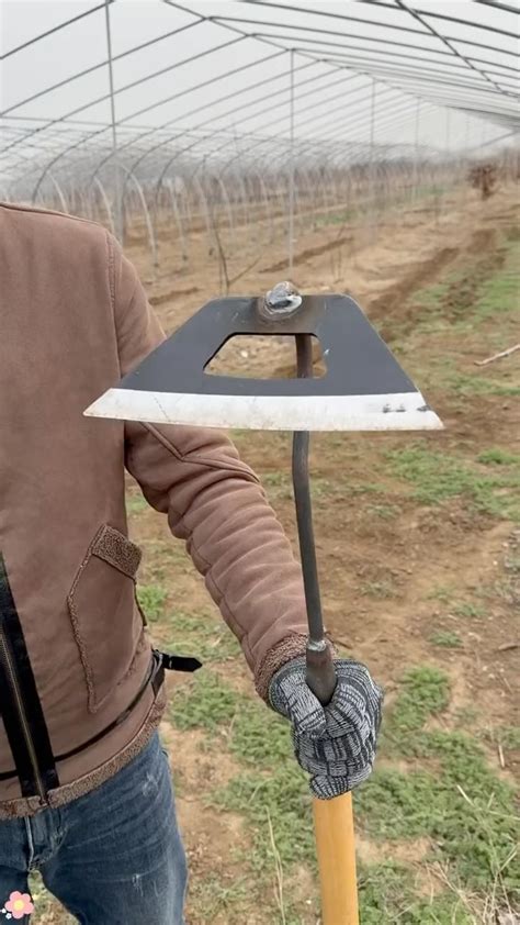 Farmsgear | Household Practical and Convenient Tools ️double Tap If You ...