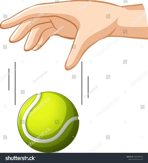 4 Hand Dropping Tennis Ball Gravity Experiment Images, Stock Photos ...