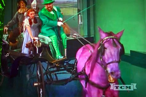 Horse of a Different Color TV Shot | Judy Garland, Frank Mor… | Flickr