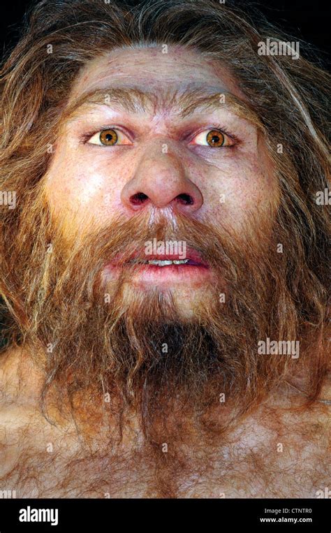 Homo sapiens Banque de photographies et d’images à haute résolution - Alamy
