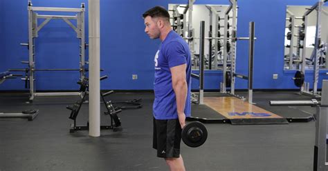 Reverse Barbell Wrist Curl Wrist Curl: Kneeling Reverse Grip