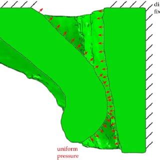 Sketch of the boundary conditions. The boundaries of the model were ...