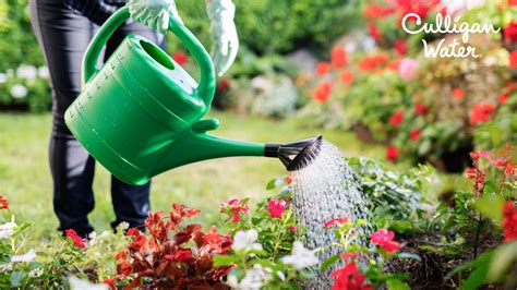 Gardening With Soft Water, Hard Water and RO Water