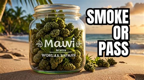 MAUI WOWIE STRAIN REVIEW — SMOKE OR PASS?