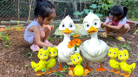 FUNNY DUCK DANCE - FUNNY DUCK SONG - FUNNY DUCK MUSIC - DUCK - DUCK MUSIC - DUCK SONG