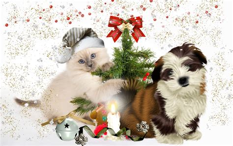 Cats, Dogs, Candles, Holidays, Christmas, Kittens, Puppy, Winter hat ...