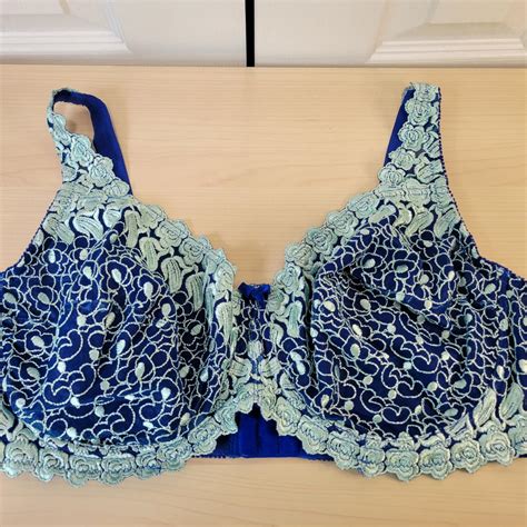 AMOUREUSE Blue Floral Embroidered Full Coverage... - Depop