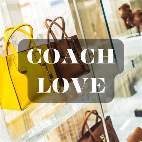 Coach Love Coach Dupe - Premium Fragrance – Fizz Fairy Krazycolours Inc.