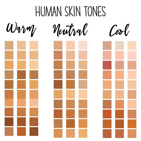 Human skin tone color palette 7511504 Vector Art at Vecteezy