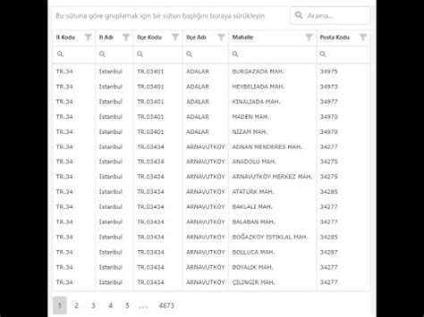 Posta Kodu Sorgulama (E-İrsaliye)