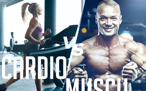 Faut-il faire du cardio ou de la musculation pour maigrir?