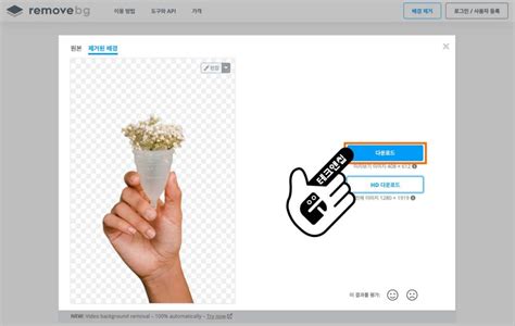 무료로 사진 이미지 배경 제거 방법 3가지 (2023) - 테크앤칩
