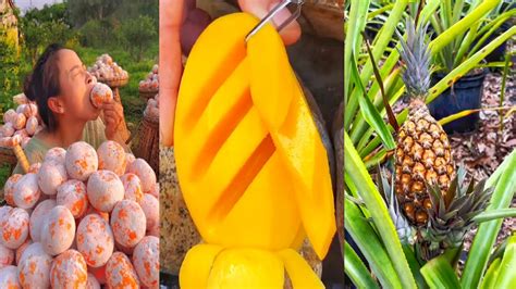 😍Amazing Fruits In The World || unique fruits | satisfying videos ...