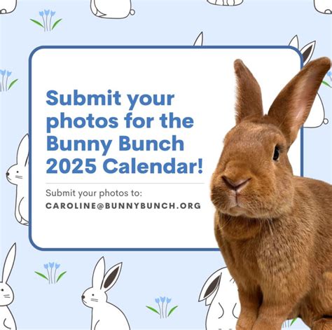 Calling all Bunny Bunch Rabbit Rescue Adopters! - The Bunny Bunch