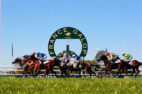 [Interview] France Galop diversifie ses sources de revenus - LE SPORT ...