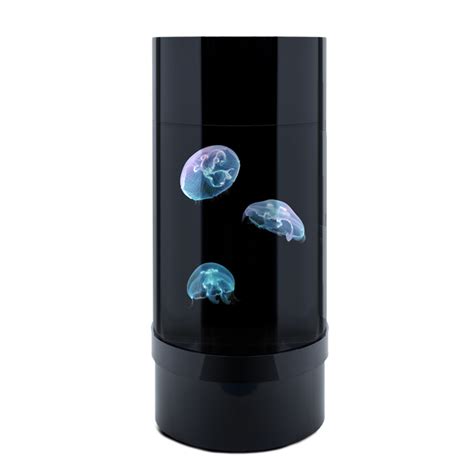 Cylinder - Jelly Art Aquariums for Live Pet Jellyfish | Jellyfish Art
