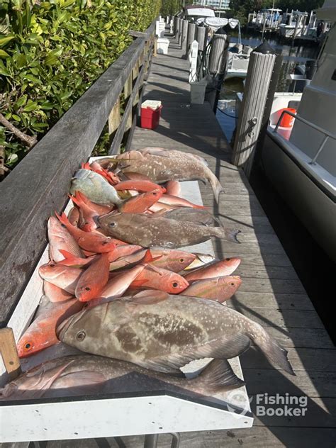 Grouper And Snapper Fishing Naples Fishing Report Fishingbooker