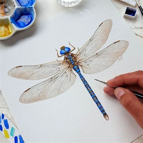 Pin By Evgenia On Insect Painting Insect Art Dragonfly Painting