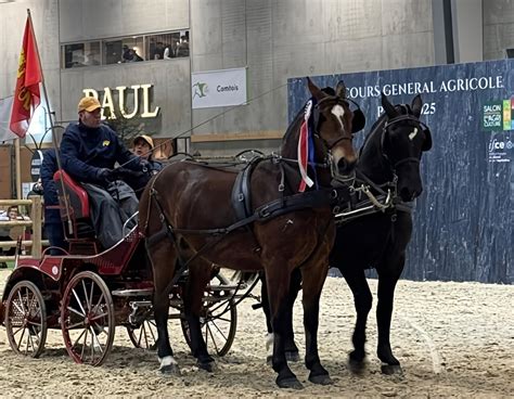 Salon International De L Agriculture Cet Attelage De Chevaux De Loire