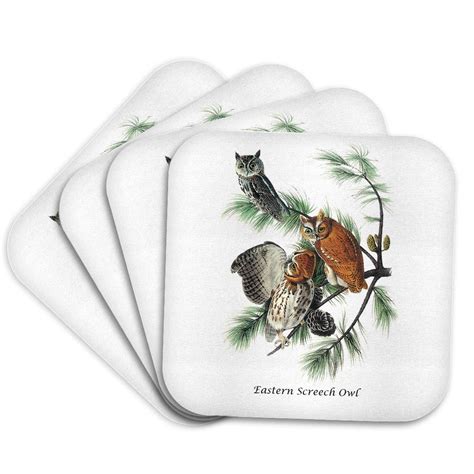 Drose Eastern Screech Owl By John James Audubon Set Of Coasters