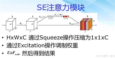 Se Squeeze And Excitation Csdn