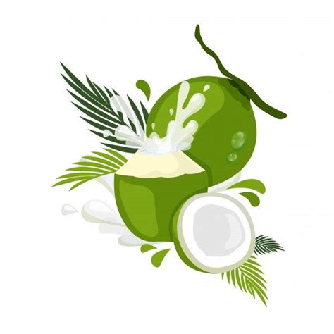 Coconut Illustration With Milk Splash Premium Vector