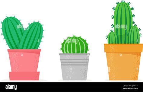 Different house plants Stock Vector Images - Alamy 