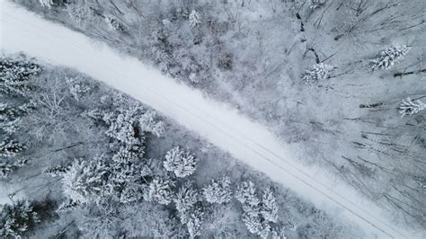 Les entreprises forestières du Nord du Québec toujours dans l