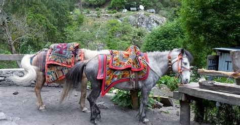 Exploring The Mountain Village Of Manaslu Circuit Nepal Voage Canvas