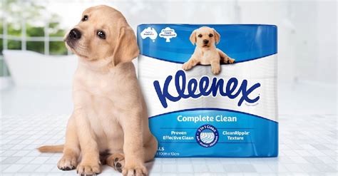 Kimberly Clark renova embalagem de Kleenex para reforçar sua identidade