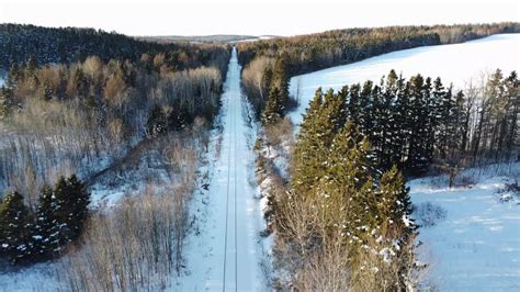 Aerial Panoramic Elevation View Of A Forest And A Snow Covered