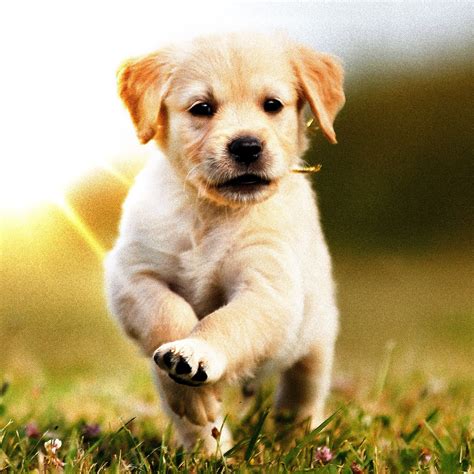 I Stopped Feeding My Husband’s Relatives and Took Off on a Cruise. When