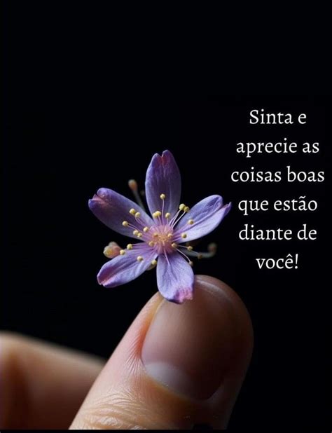 Pin De Ma Ra Ma Ra Ju Em Boa Noite Frases Fortes Para Fotos Frases