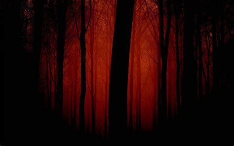 Dark Red Forest Wallpapers K Hd Dark Red Forest Backgrounds On