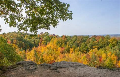 Peak Fall Foliage Cleveland Ohio 2025 Lina Walids