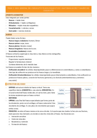 Examen Anatomia Funcional Pdf