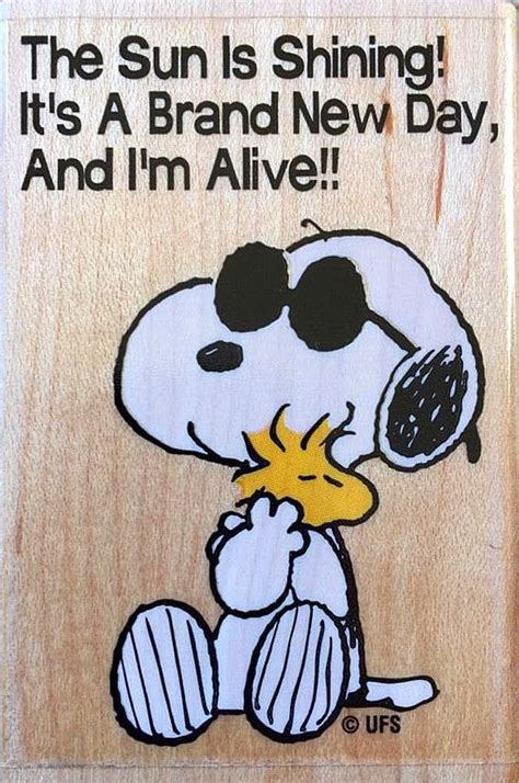 Snoopy Woodstock Hug Rubber Stamp Snoopy Images Snoopy Funny