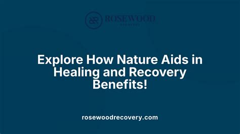 The Benefits Of Nature Based Therapy In Healing