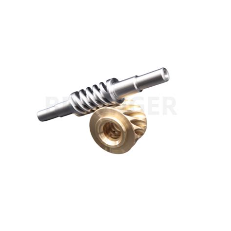 China Worm Gear Wheel With Shaft For Worm Gearboxes Din Factory And