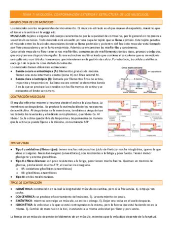 Examen Anatomia Funcional Pdf