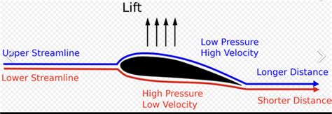 PE 5 6 Fluid Mechanics Biomechanical Movement Flashcards Quizlet