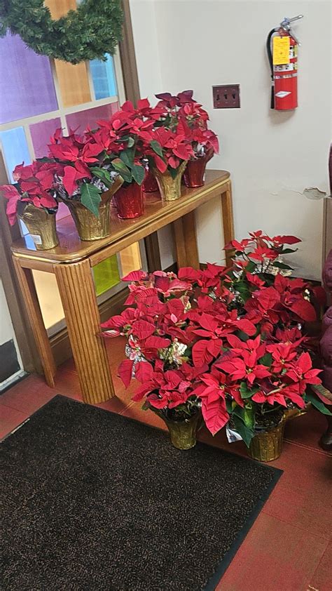 Our live nativity... - The Baptist Temple, Fairmont WV | Facebook