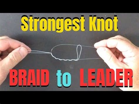 Strongest Knot Braid To Leader Best Fishing Knots Strong Knots