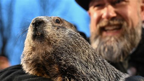 Groundhog Day Did Punxsutawney Phil See His Shadow Cbs