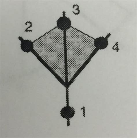 Ornithology Lab Foot Webbing And Toe Arrangement Flashcards Quizlet